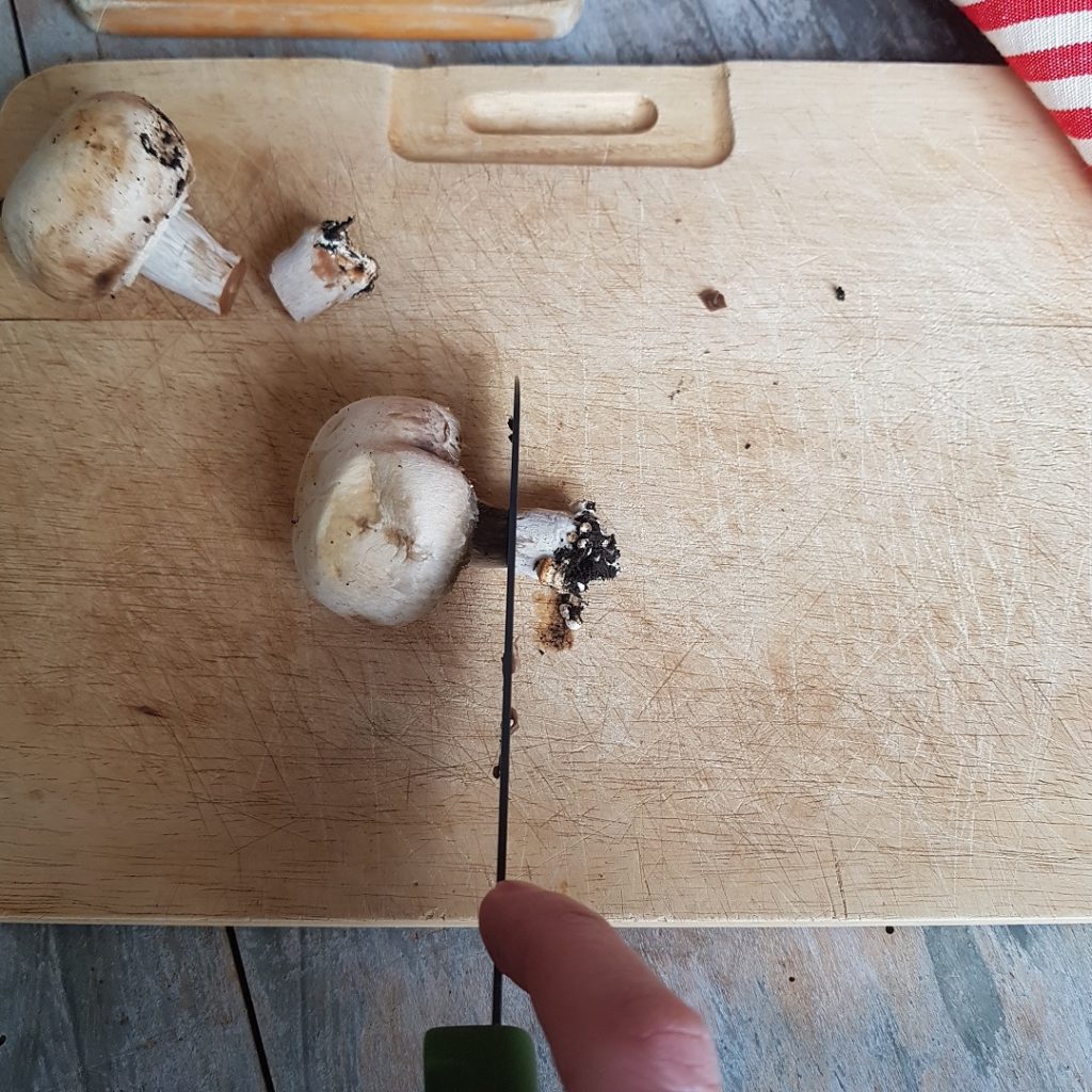 questa immagine rappresenta come pulire i funghi champignon tutorial di pasticciandoconlafranca
