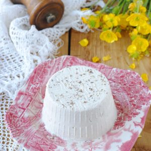 questa immagine rappresenta ricotta vegetale fatta in casa ricetta di pasticciandoconlafranca