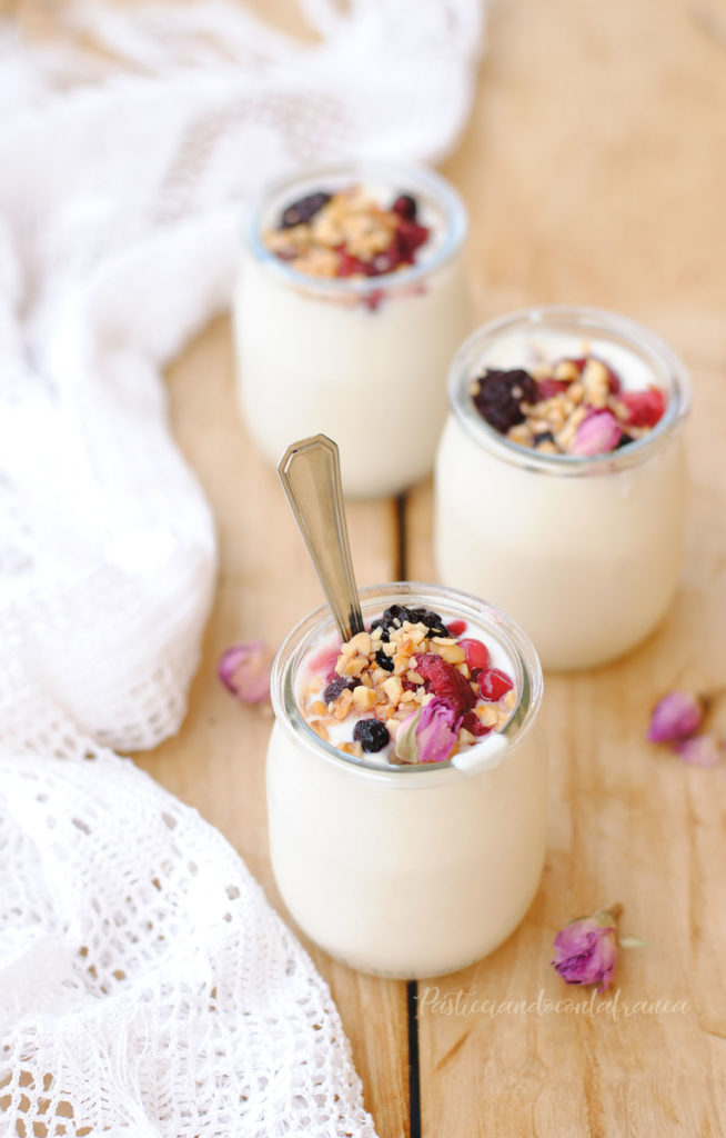 questa immagine rappresenta lo yogurt vegetale fatto in casa ricetta di pasticciandoconlafranca