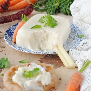 questa immagine rappresenta stracchino vegetale fatto in casa ricetta di pasticciandoconlafranca